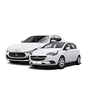 Renting de coches familiares