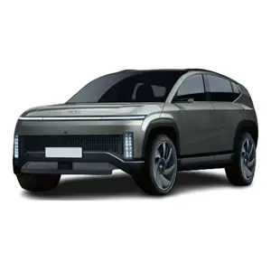 Renting particulares Hyundai Ioniq 7