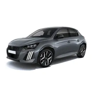 Renting particulares Peugeot